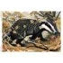 Blustery Day Badge Jigsaw by Angela Harding