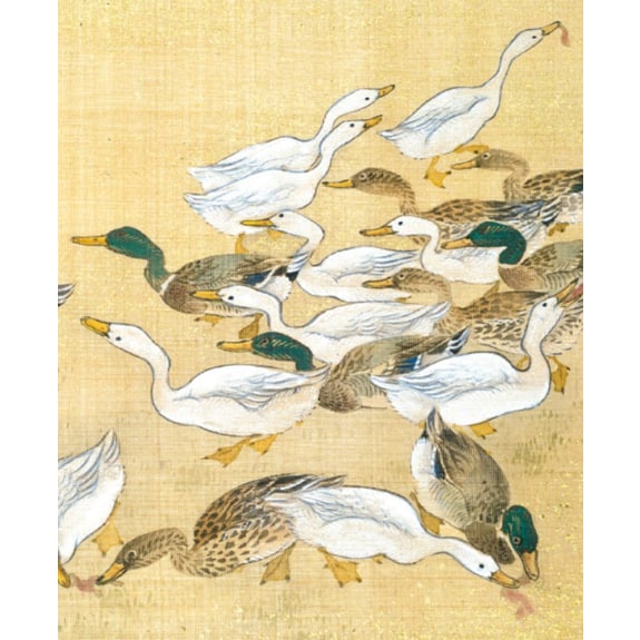 Ducks Feeding Greetings Card