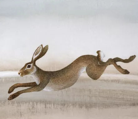 Leaping Hare Greetings Card