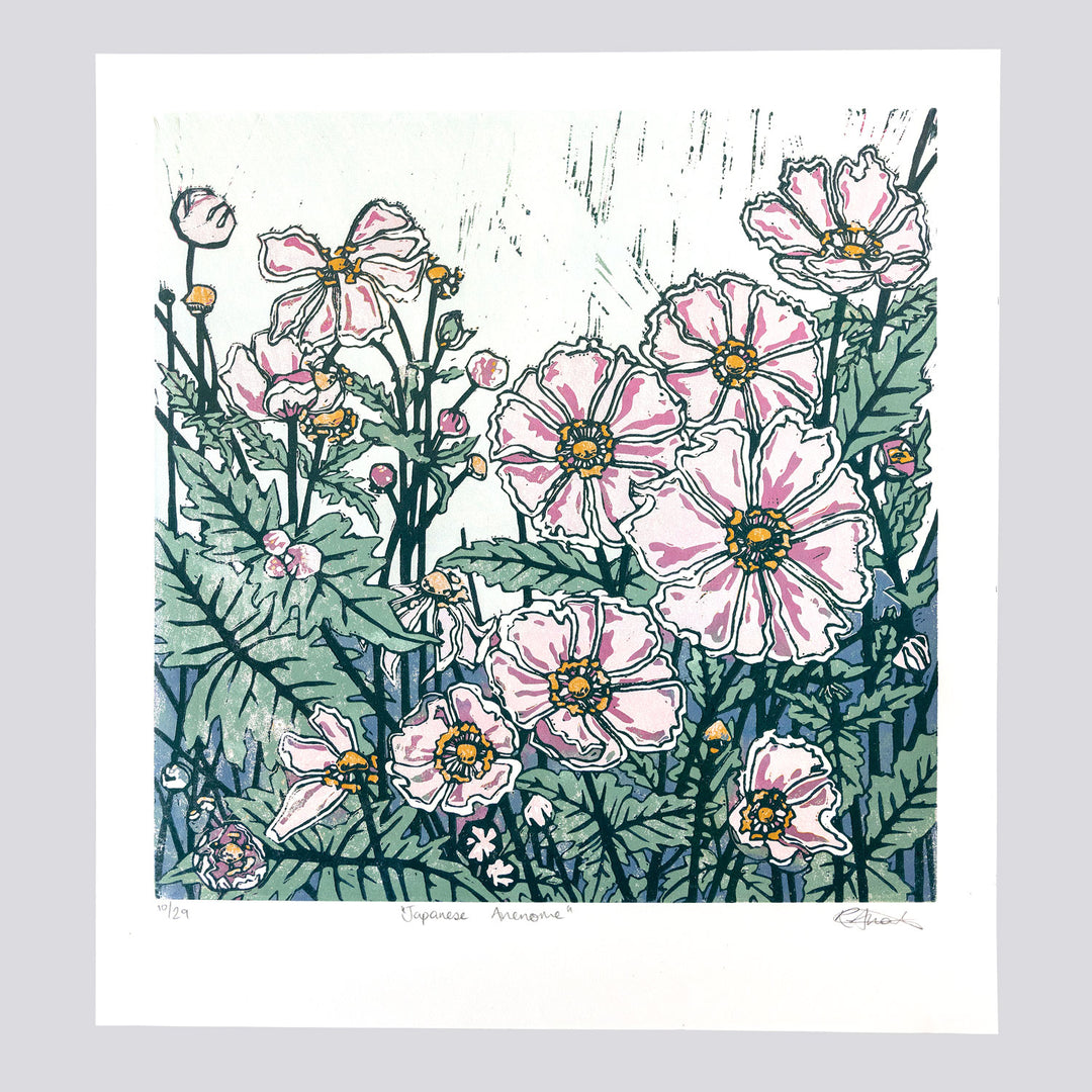Japanese Anemone by Rachel Knowles