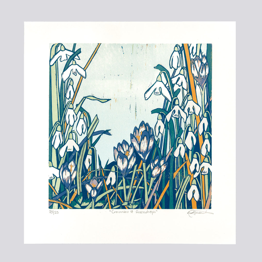 Crocuses and Snowdrops by Rachel Knowles