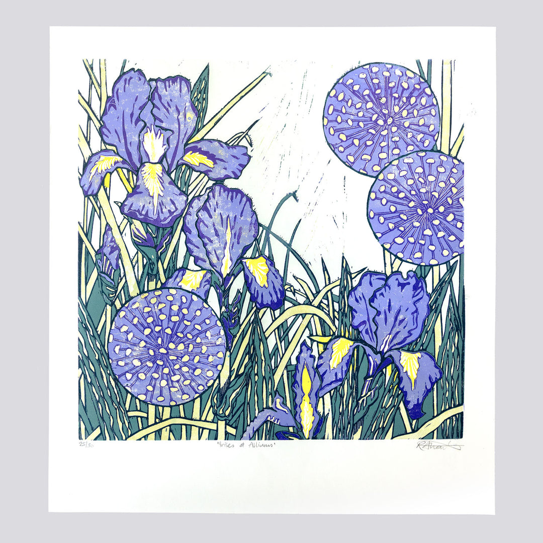 Irises and Alliums by Rachel Knowles