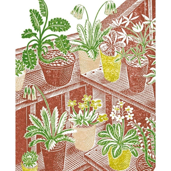 Ravilious Plants Greetings Card