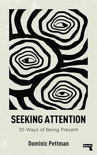 Seeking Attention by Dominic Pettman