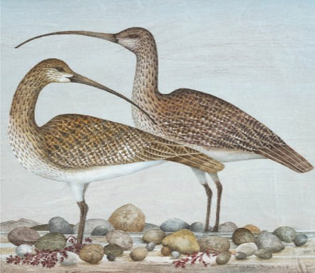 Two Curlews Greetings Card
