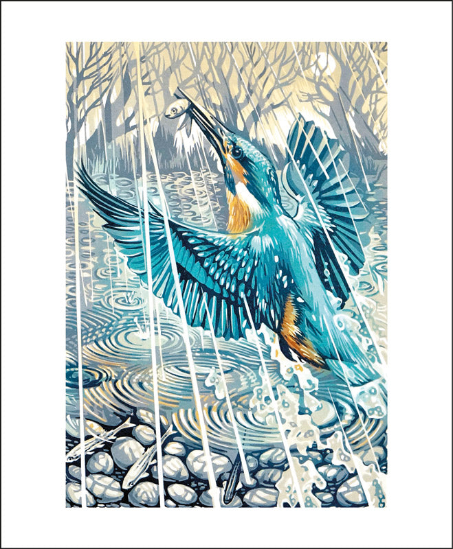 Kingfisher, Evening Rain