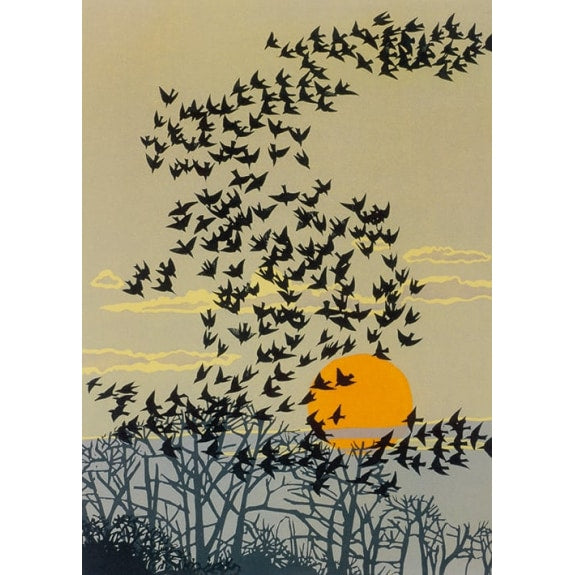 Aerial Manoeuvres Greetings Card
