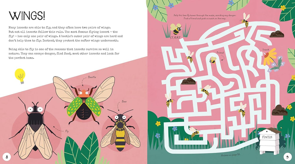 Insect Activity Book