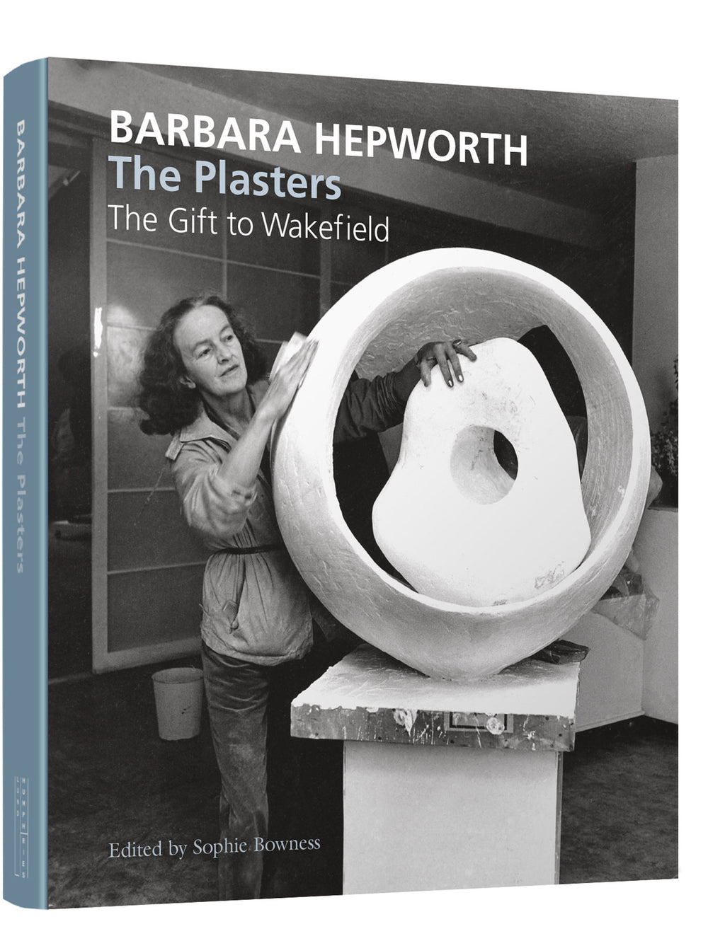 Barbara Hepworth: The Plasters by Sophie Bowness (Paperback)