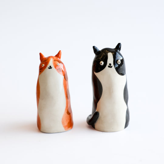 Black and White Cat by Alex Sickling