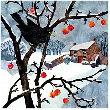 Frosty Feathers Christmas Card Pack