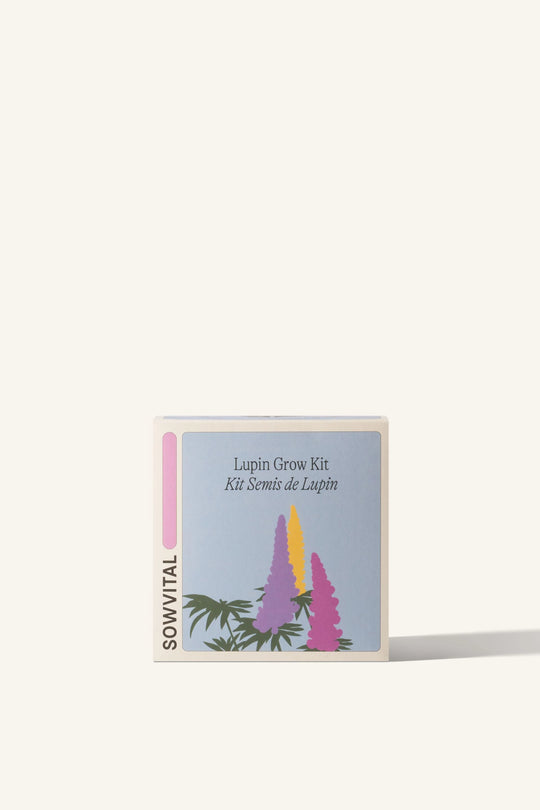 Lupin Seed Grow Kit by Sowvital