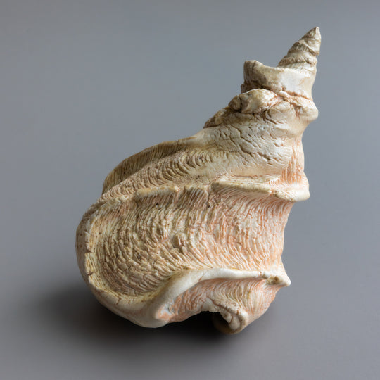 Spiral Shell Form by Zivarna Murphy