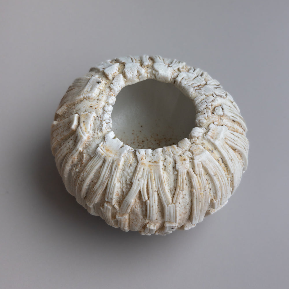 Urchin Vessel II by Zivarna Murphy