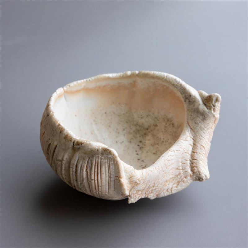 Shell Form III by Zivarna Murphy