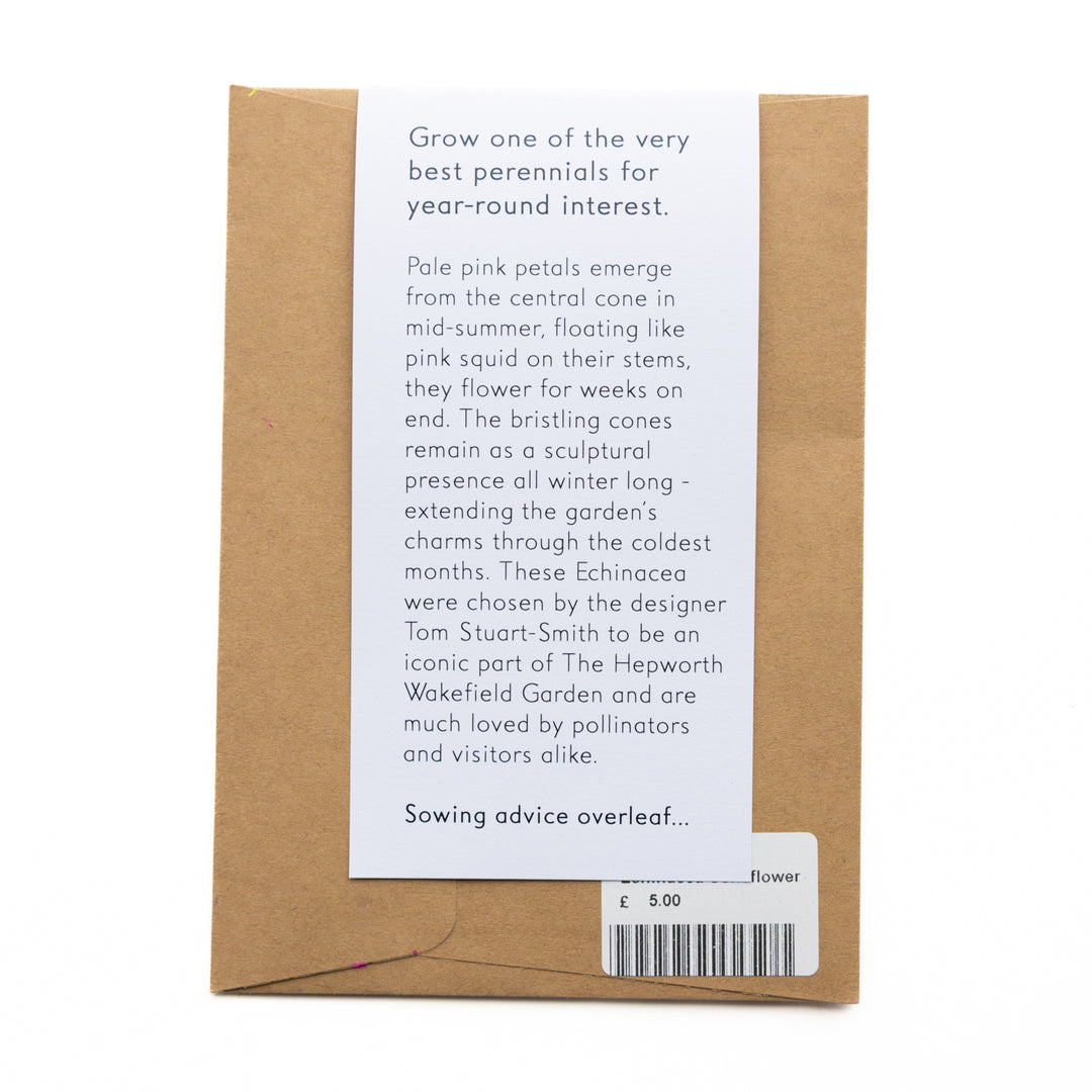 Echinacea Coneflower Seeds from Hepworth Wakefield Garden