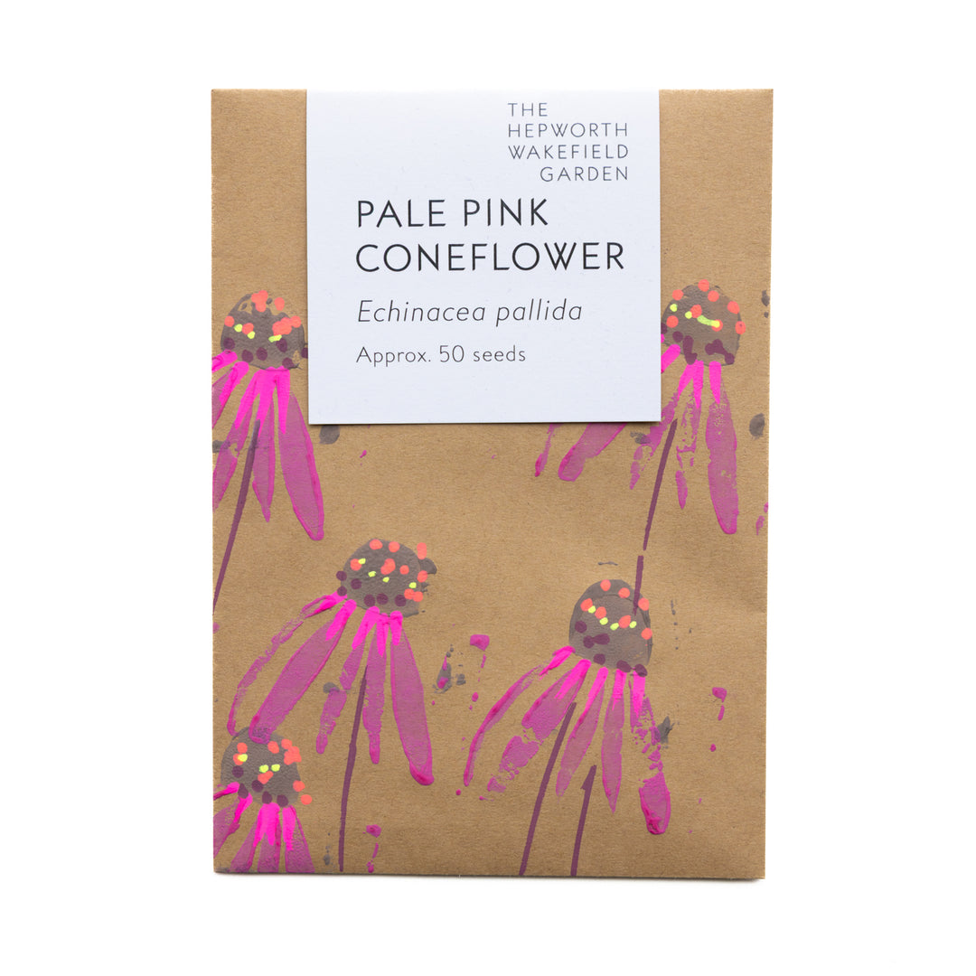 Echinacea Coneflower Seeds from Hepworth Wakefield Garden