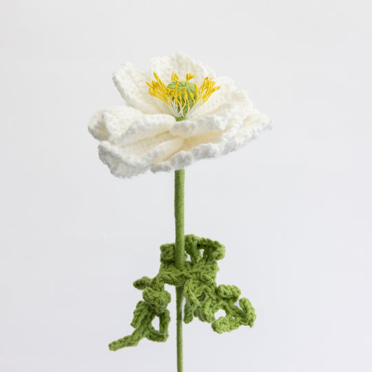 Anemone × Hybrida 'Honorine Jobert' Crochet Flower
