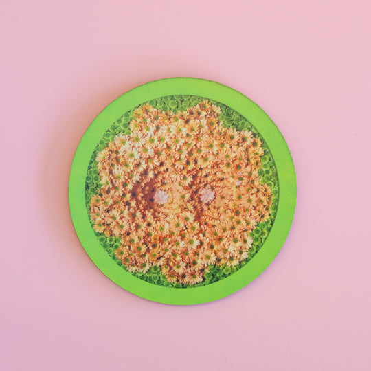 Helen Chadwick Coaster Wreaths to Pleasure No. 06