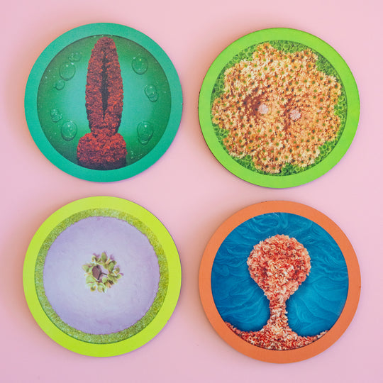 Helen Chadwick Coaster Wreaths to Pleasure No. 06