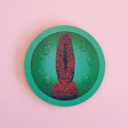 Helen Chadwick Coaster Wreaths to Pleasure No. 12