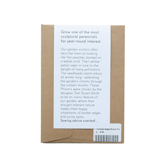 Turkish Sage Seeds from Hepworth Wakefield Garden