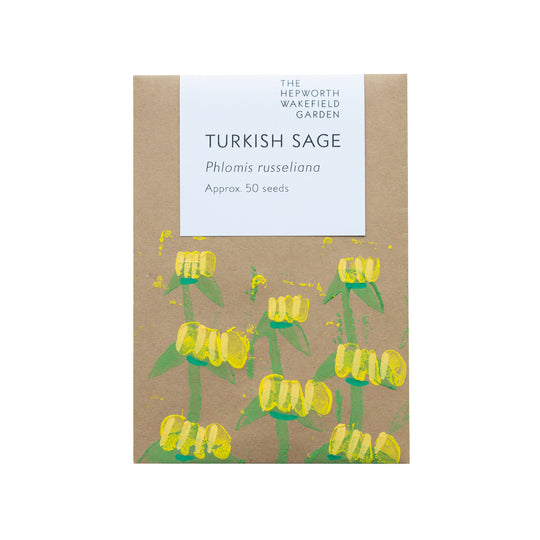 Turkish Sage Seeds from Hepworth Wakefield Garden