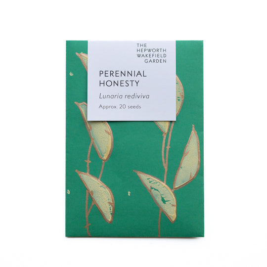 Perennial Honesty Seeds from Hepworth Wakefield Garden