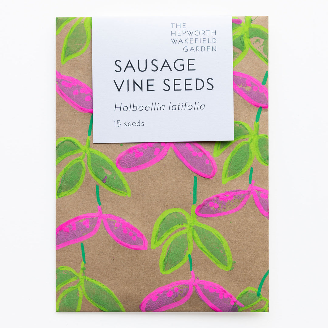 Sausage Vine Seeds from The Hepworth Wakefield