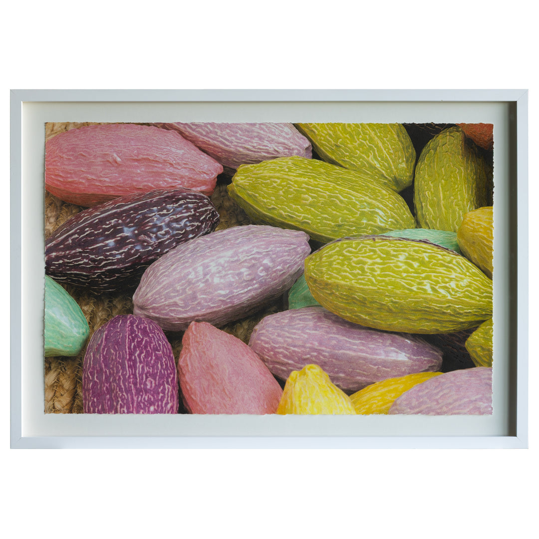 Veronica Ryan: Coco Beans, framed edition