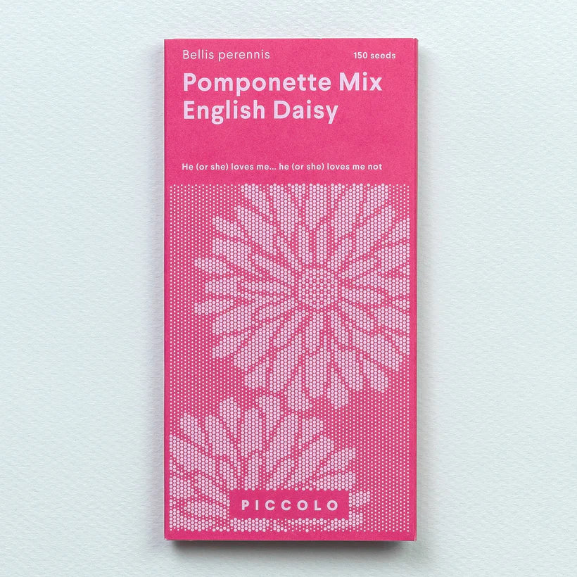 English Daisy Momponette Mix Seeds