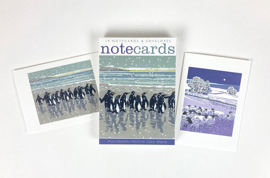 Snowy Beach Kings / Flocks by Night Notecard Set