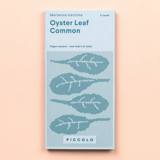 Oyster Leaf Common Seeds